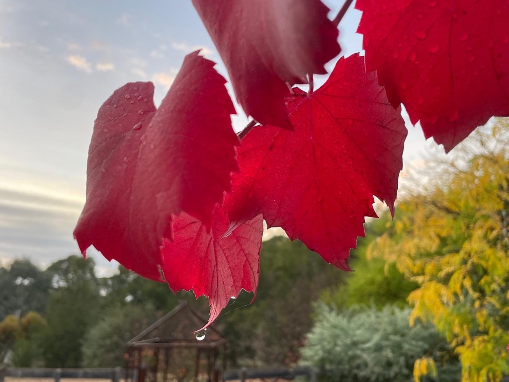 grief re-cycles from the periphery