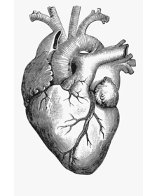 every ailment of morning