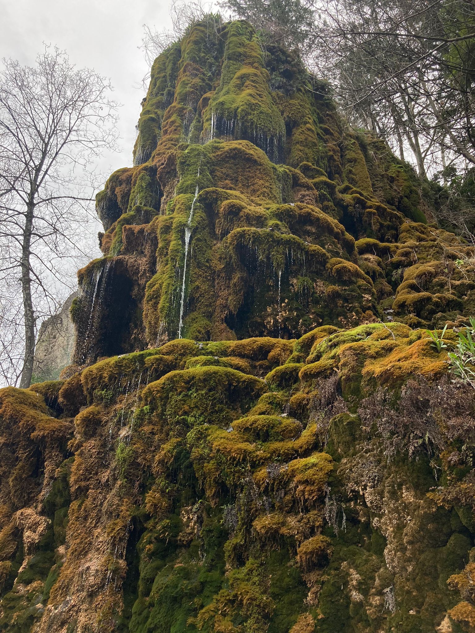 a lovely saying and I love it